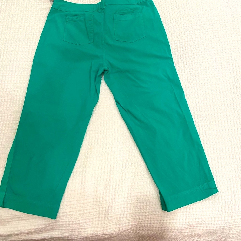 FRESH PRODUCE Large NWT Safari Capri Palm Green